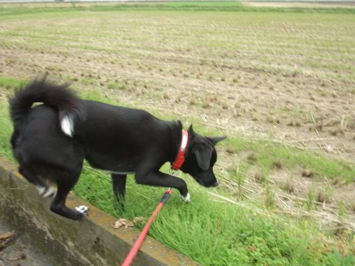 ファイル 657-4.jpg