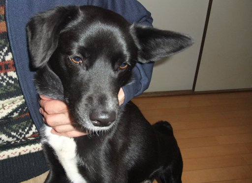 春は名のみで実は冬