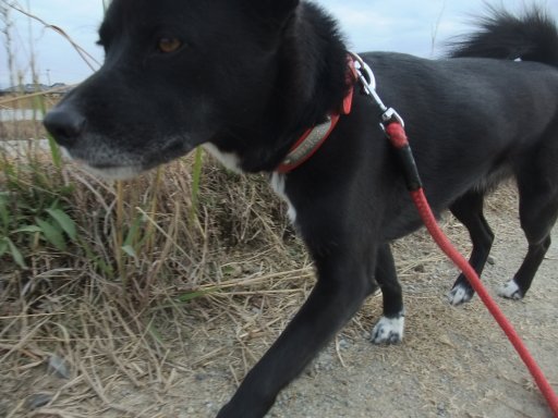 おお寒ぶ こ寒ぶ