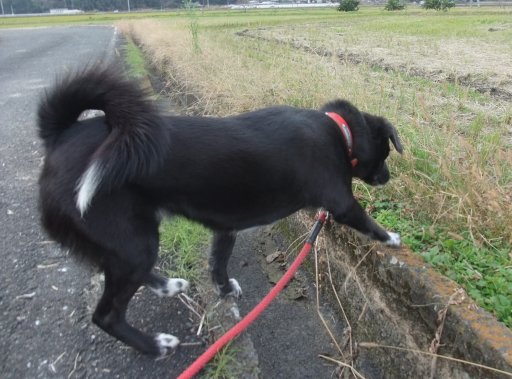 ファイル 660-4.jpg