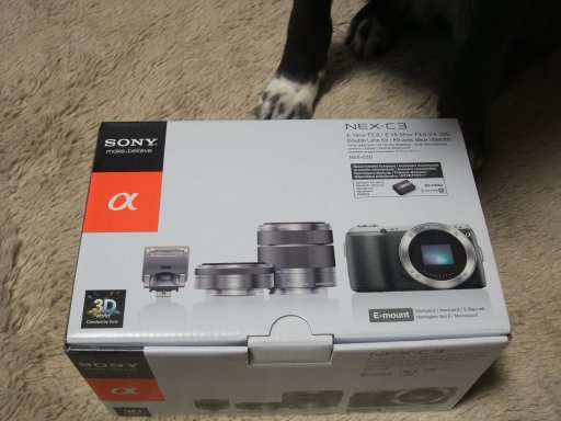 クリスマスプレゼント．．か？