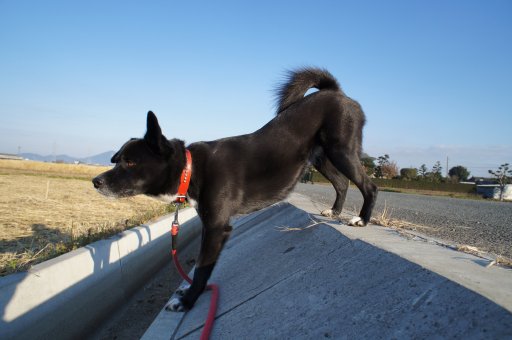 ファイル 661-2.jpg