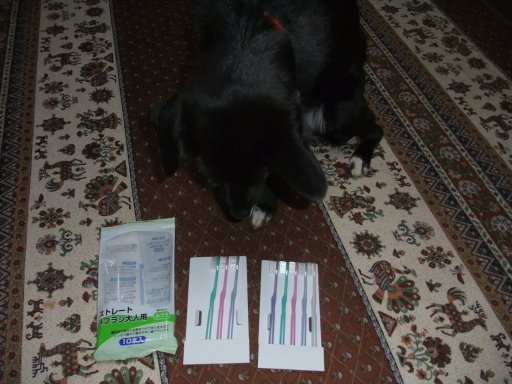 どれにしようかな