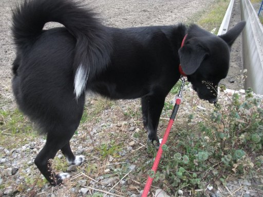 ファイル 672-2.jpg