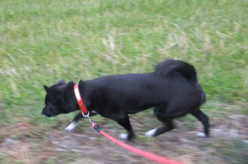 ファイル 672-3.jpg