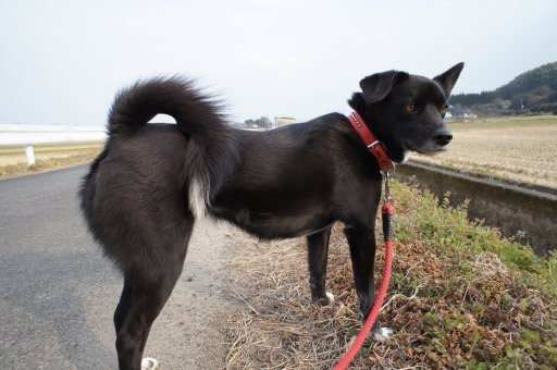 北風が冷たいよぉ