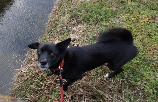 ファイル 674-2.jpg