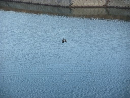 ファイル 675-2.jpg