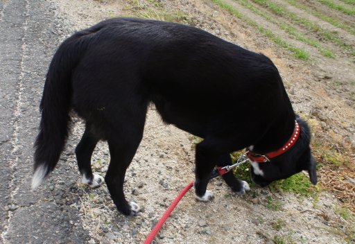 ファイル 678-4.jpg