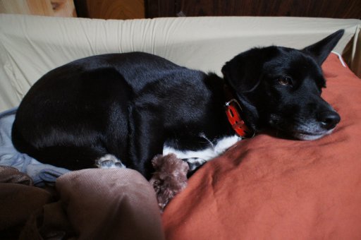 ファイル 679-3.jpg