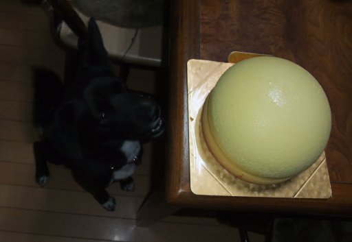 金曜日には花を買って