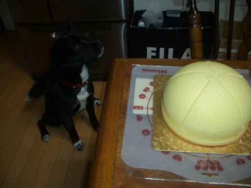 ファイル 68-2.jpg