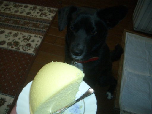 ファイル 68-3.jpg