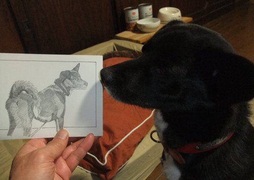 ファイル 680-2.jpg