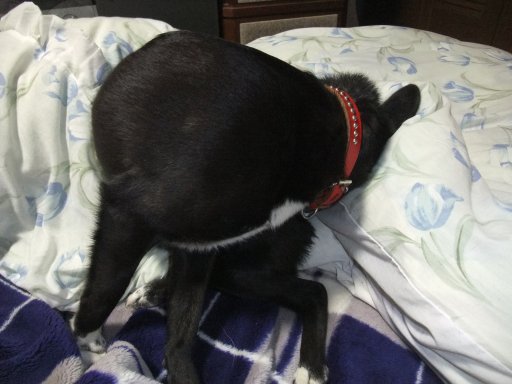 ファイル 681-2.jpg