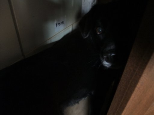 ファイル 70-2.jpg