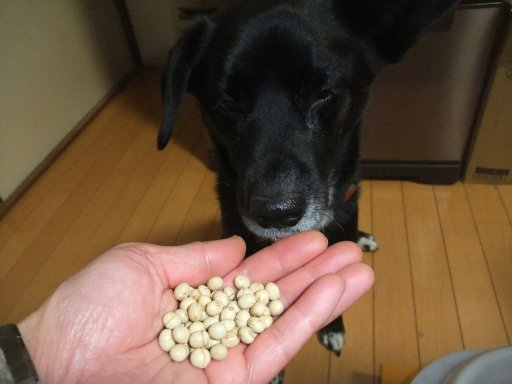 ファイル 700-2.jpg