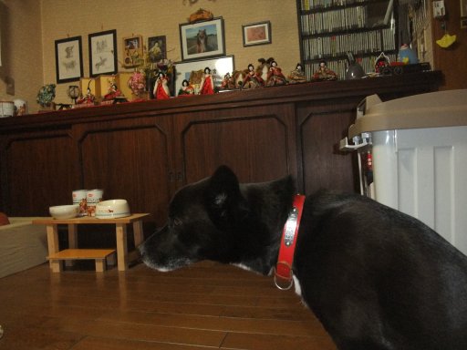 ファイル 702-3.jpg