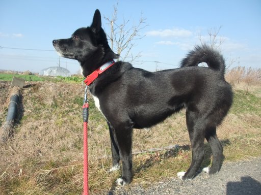 イヴ姫、元気でしゅ