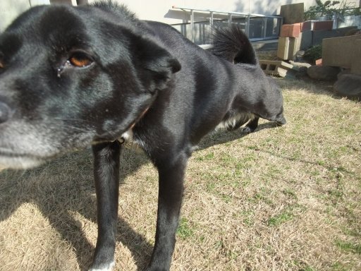 ファイル 706-3.jpg