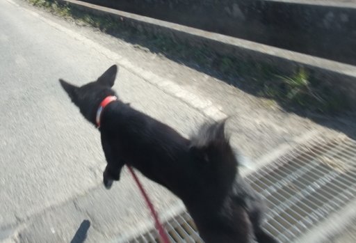 ファイル 707-3.jpg