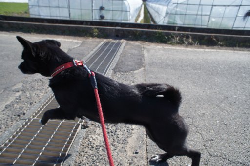 ファイル 707-4.jpg