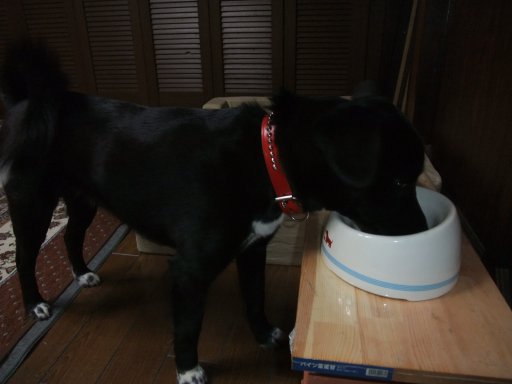 ファイル 72-2.jpg