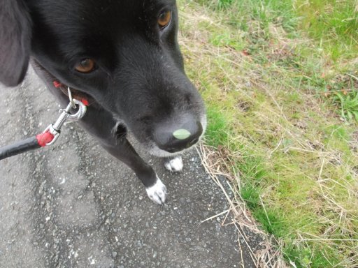 ファイル 726-2.jpg