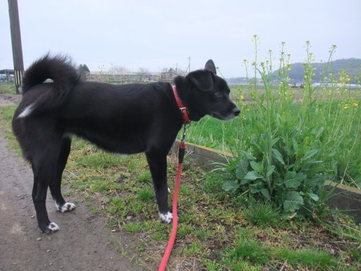 ファイル 726-4.jpg