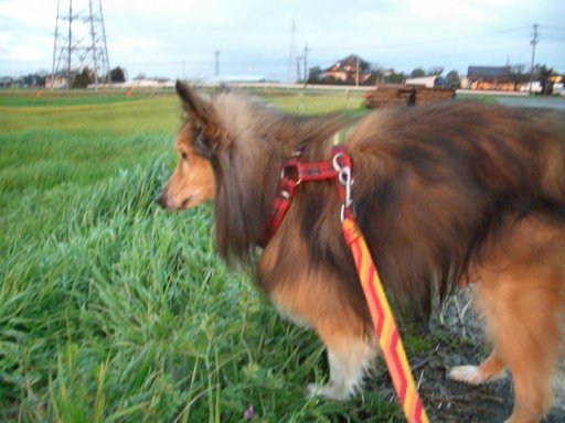 今日もよか天気