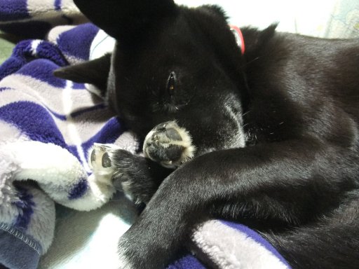 ファイル 731-2.jpg