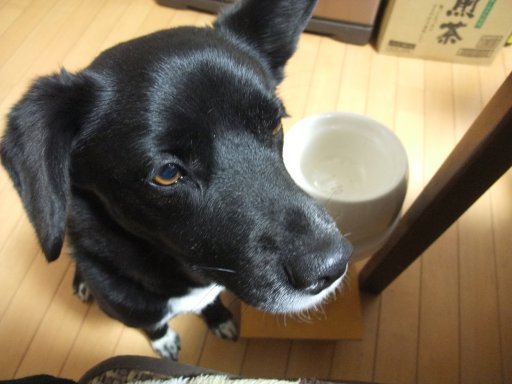 ファイル 734-2.jpg