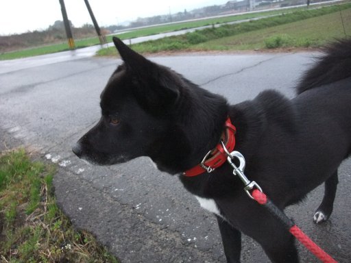 ファイル 739-2.jpg