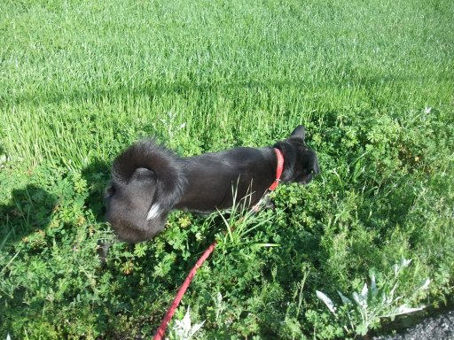 四月　はじまりはじまり