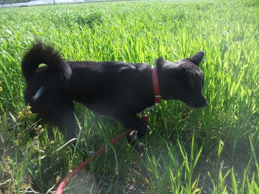 ファイル 751-3.jpg