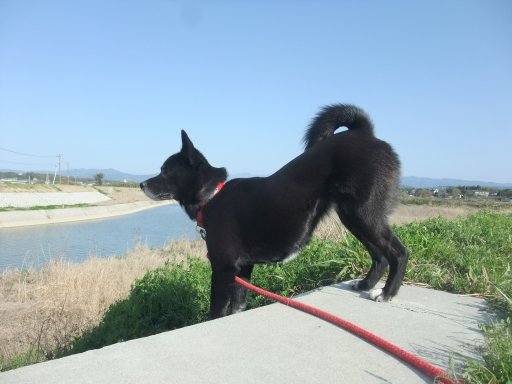 ファイル 751-4.jpg