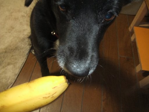 ファイル 753-2.jpg