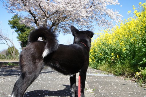 ファイル 755-3.jpg