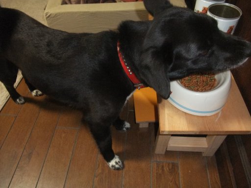 早起きはダイエット分の得