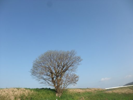 ファイル 761-3.jpg