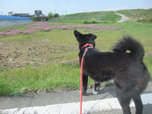 ファイル 762-2.jpg