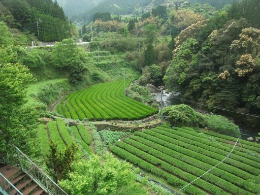 ファイル 777-2.jpg