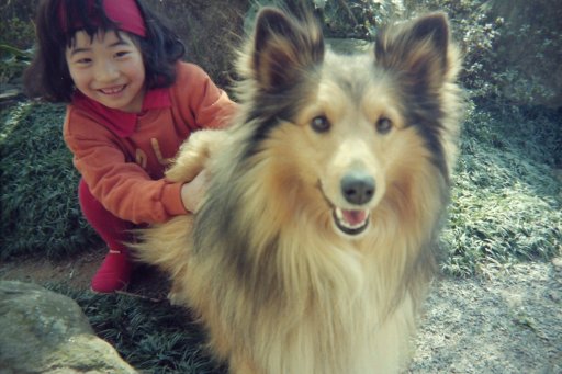 ファイル 778-2.jpg