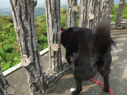 ファイル 779-3.jpg