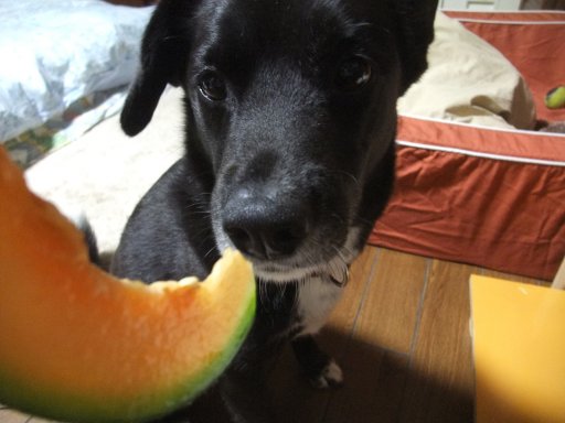 ファイル 780-2.jpg