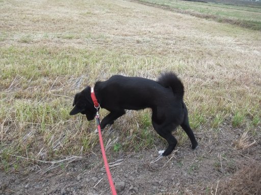 ファイル 785-2.jpg