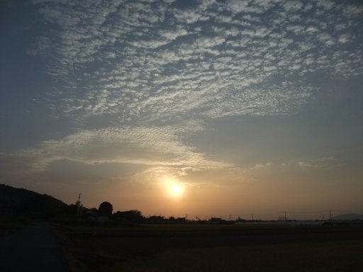 ファイル 787-2.jpg