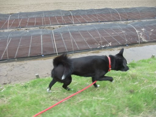 何だよ、くもりかよ