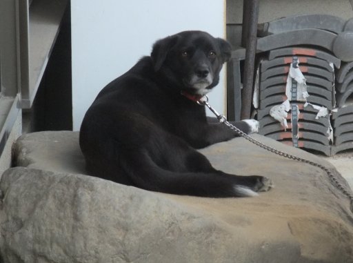 石の上にも三年