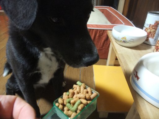 ファイル 812-2.jpg